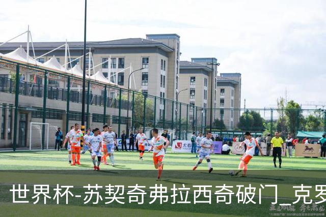 世界杯-苏契奇弗拉西奇破门 克罗地亚2-1加纳小组第二